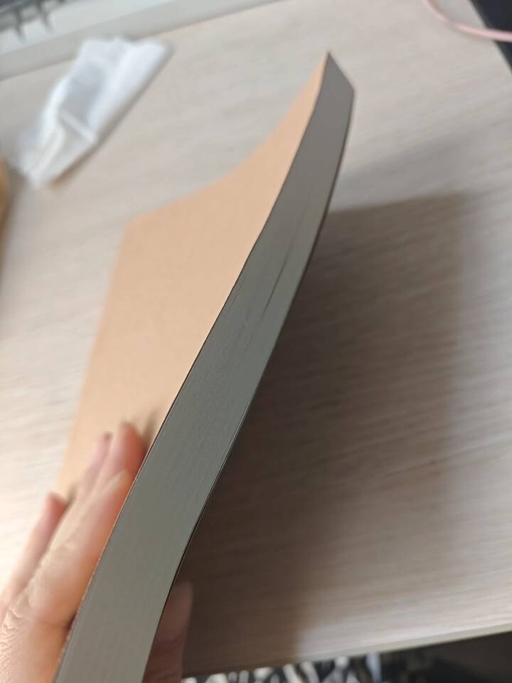 A5/A4学生牛皮笔记本256页*2本