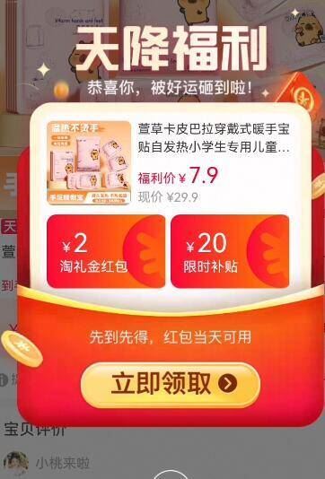 天降7.9元！萱草卡皮巴拉穿戴式暖手宝20片