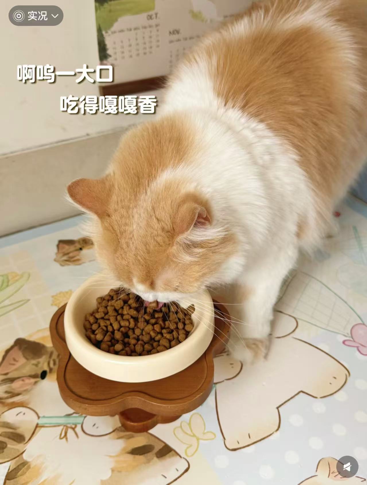 【淘宝秒杀】力狼猫粮营养增肥8斤