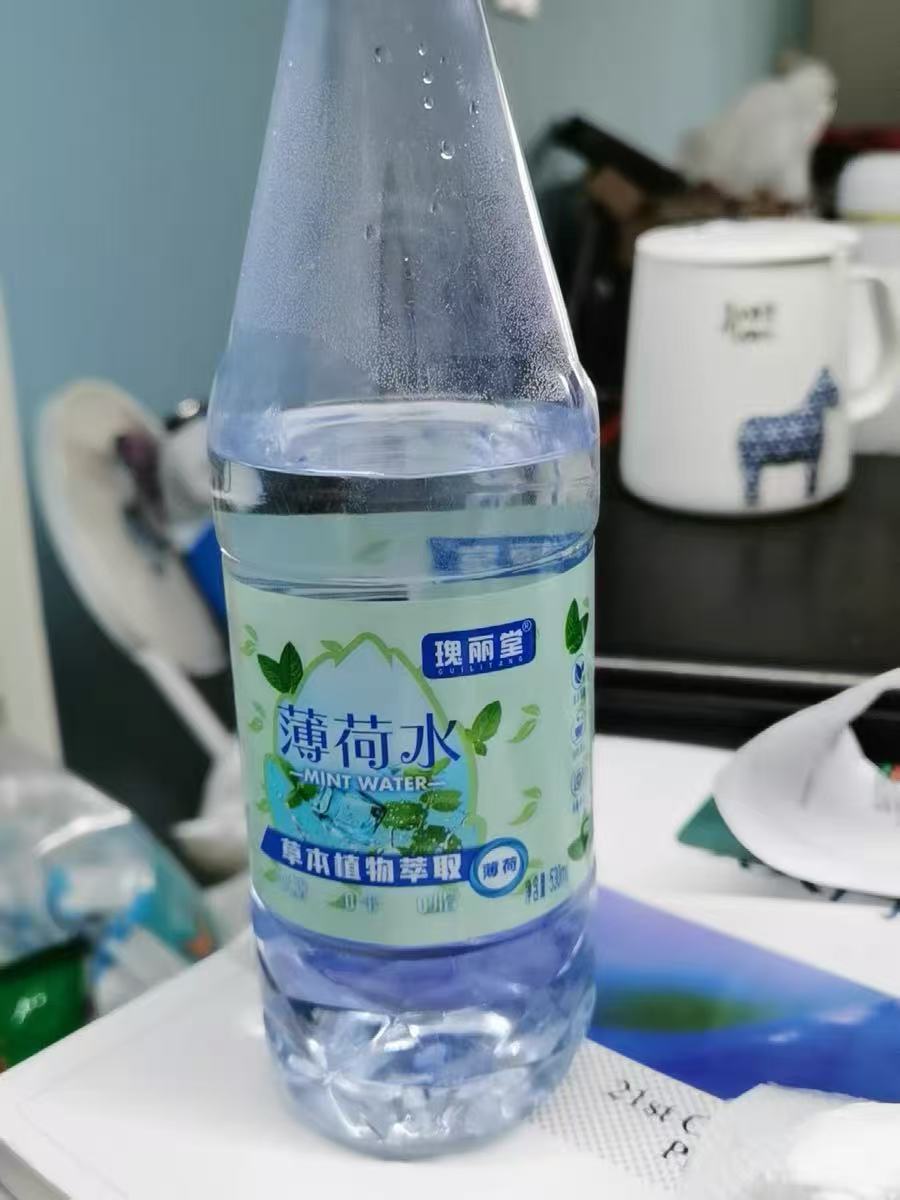 瑰丽堂薄荷水饮料530ml*8瓶