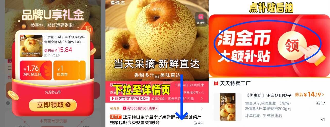 正宗砀山当季新鲜酥梨净重8.5斤