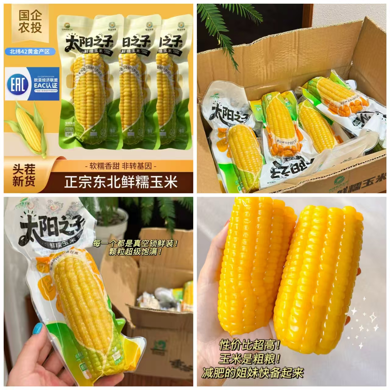 农投集团！头茬东北黄糯玉米280-350g*8棒