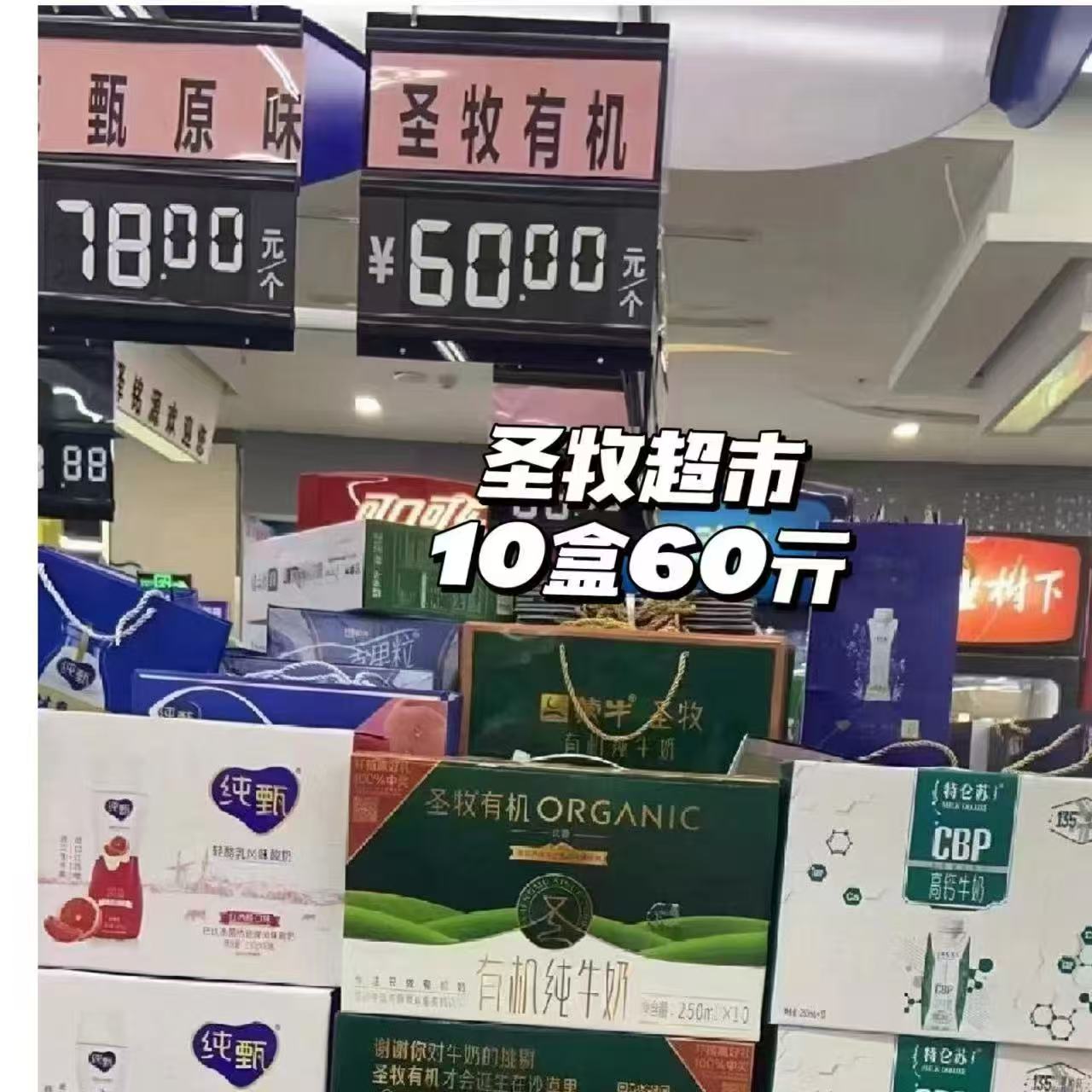 淘宝秒杀❗️薇尔日夜92片+8包得宝