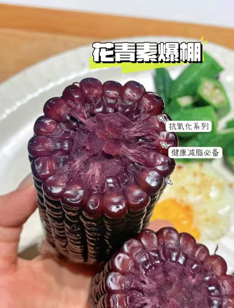 发货严格管控！东北头茬玉米！