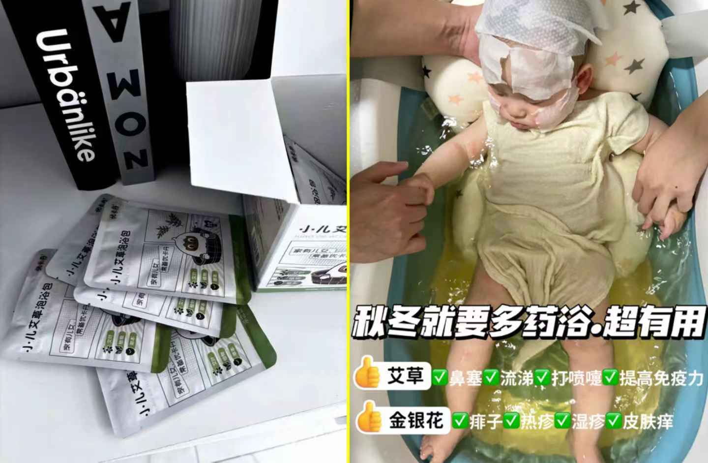 10支东北农垦黑糯玉米