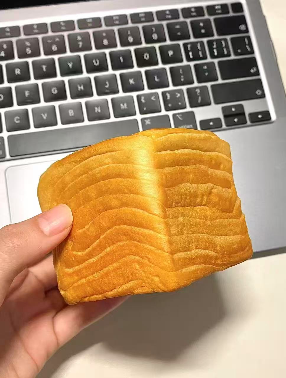 熊治水牛乳千层吐司450g10只