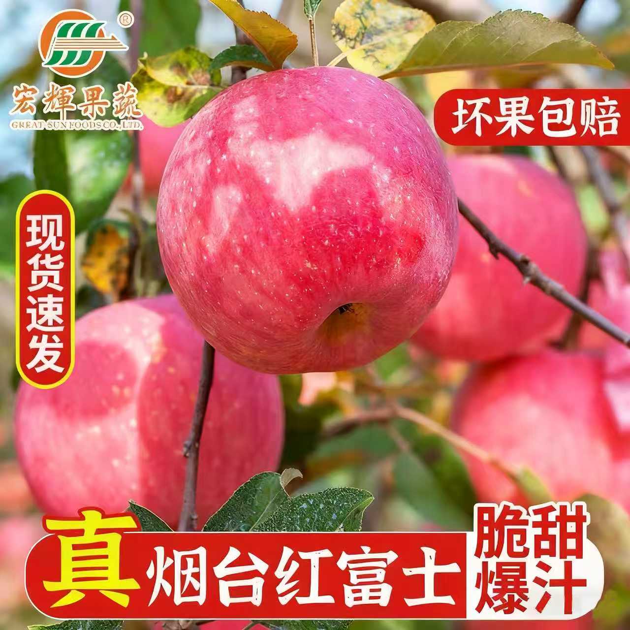 宏辉！新下树烟台红富士5斤