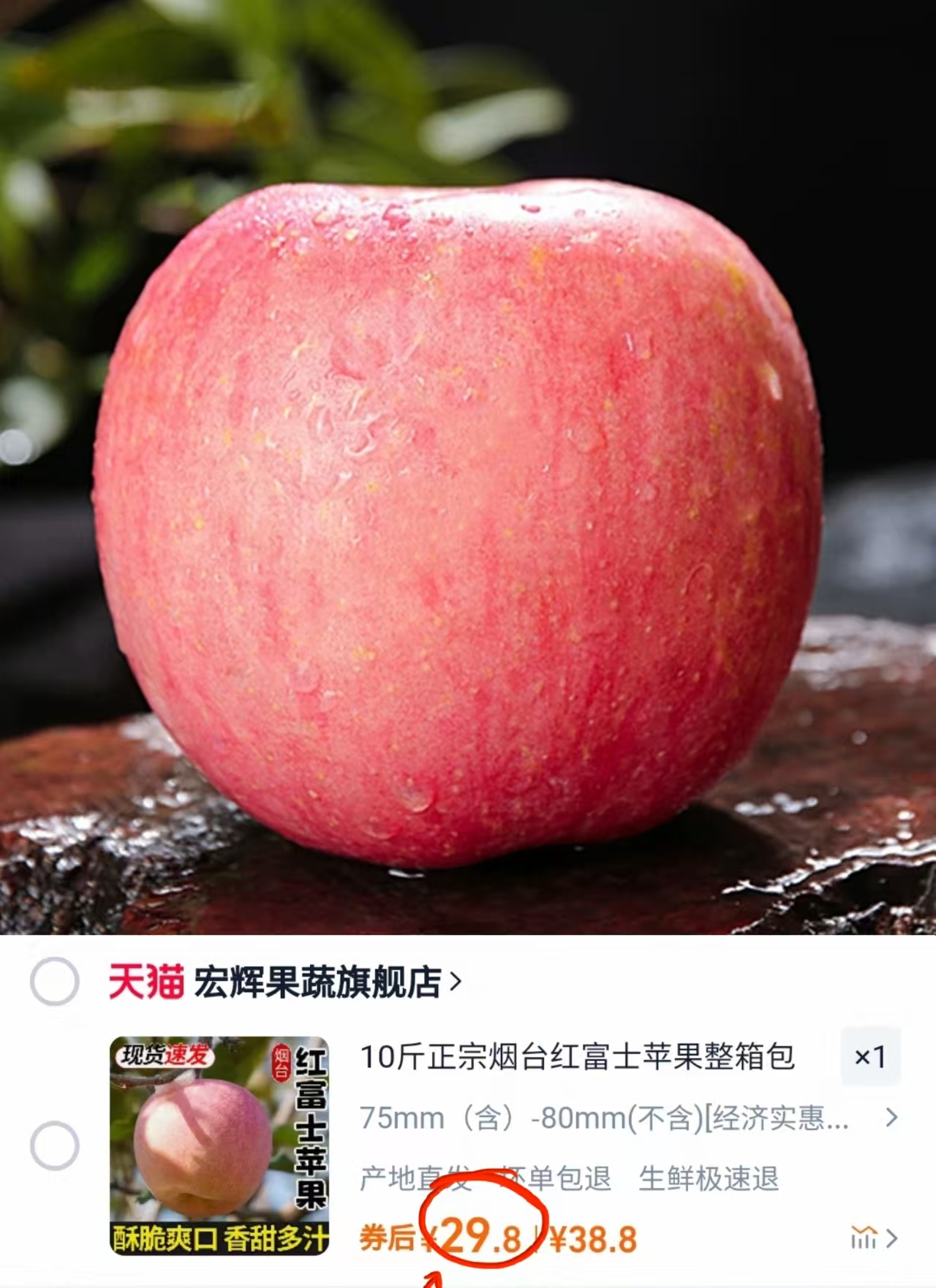 宏辉！新下树烟台红富士5斤