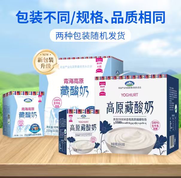 青海湖！3500米高原牧场藏酸奶210ml×10盒