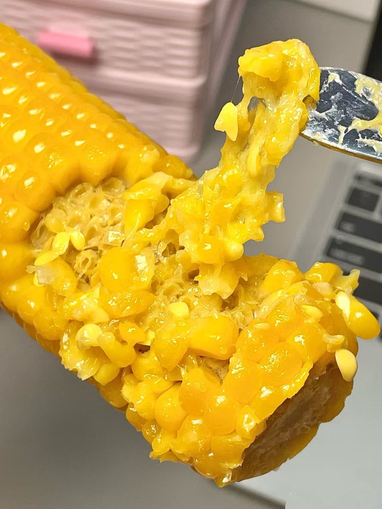 下拉16.9！220g*8根！刘老杆黄糯玉米