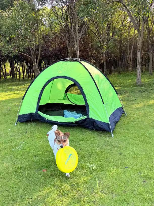 KingCamp/WEJOY全自动速开帐篷