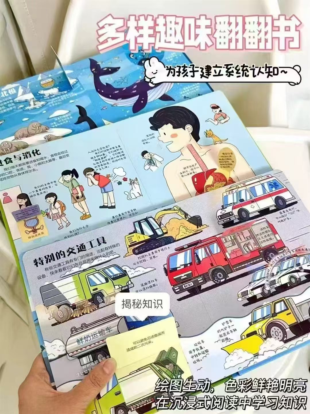 揭秘翻翻书幼儿早教撕不烂绘本