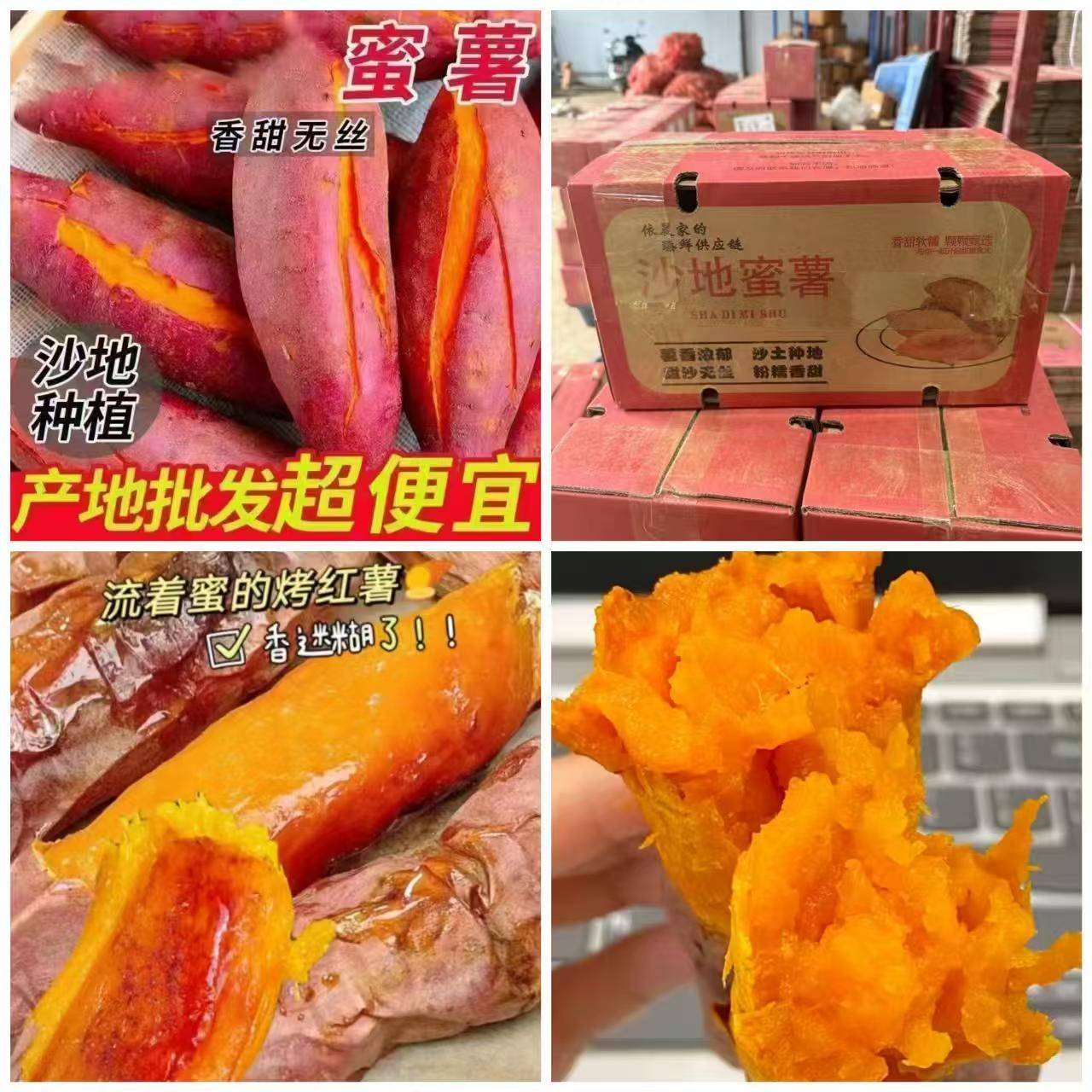 板栗红薯新鲜地瓜番薯9斤