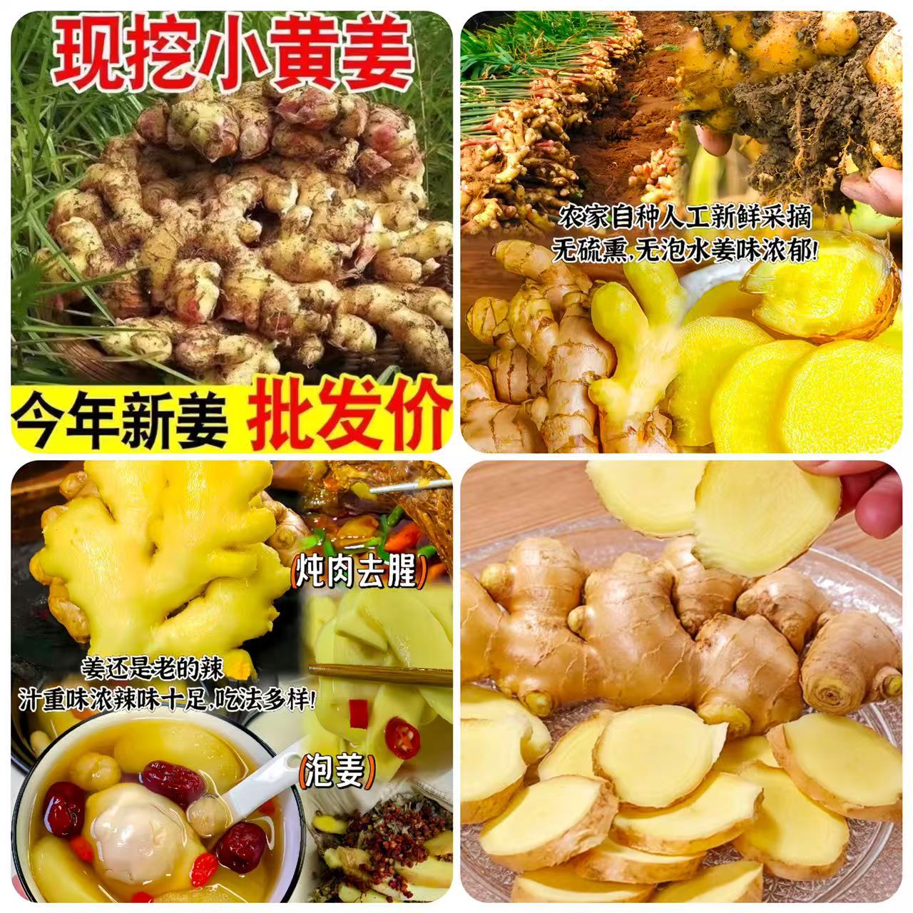 新鲜生姜现挖云南小黄姜4.5斤