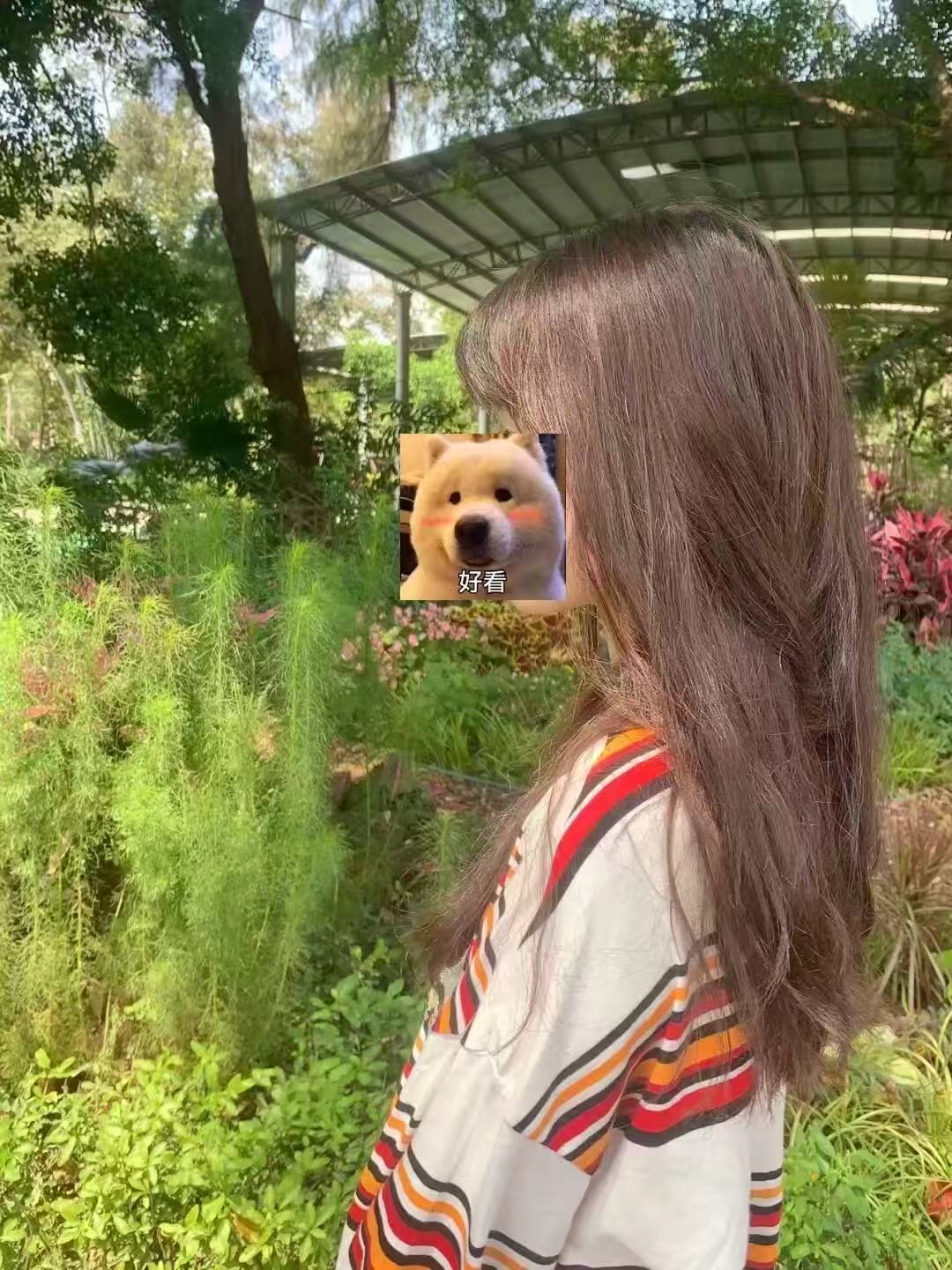 【2盒装】爱茉莉魅尚萱泡沫染