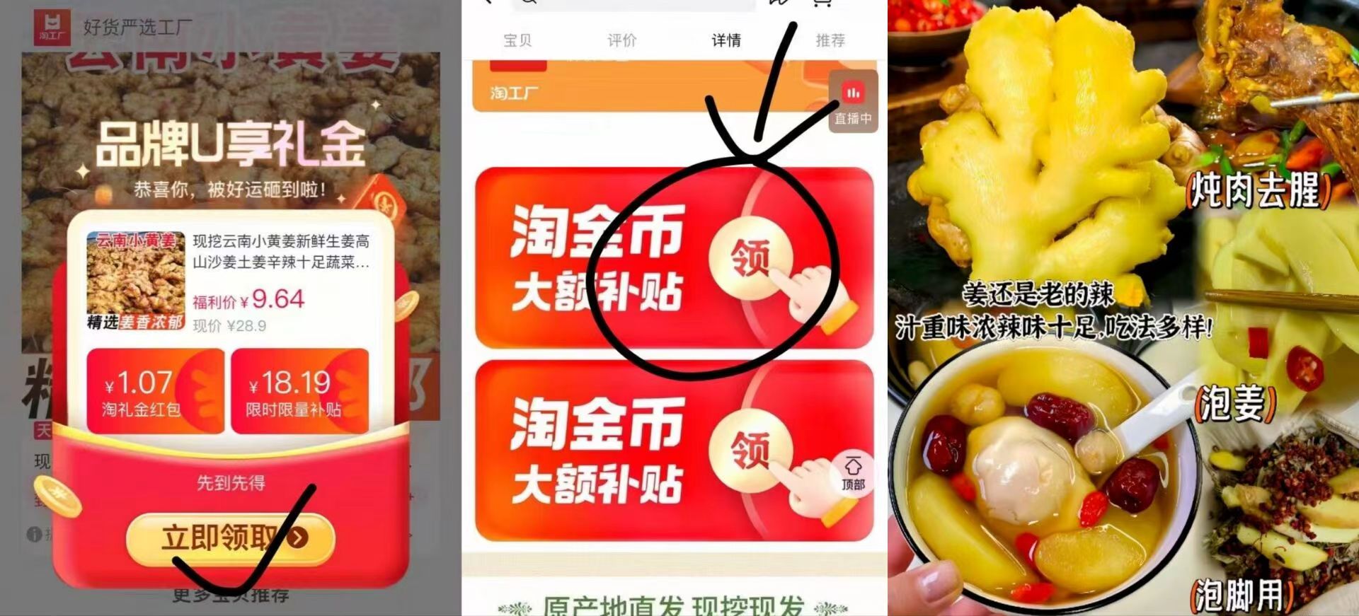 新鲜生姜现挖云南小黄姜4.5斤