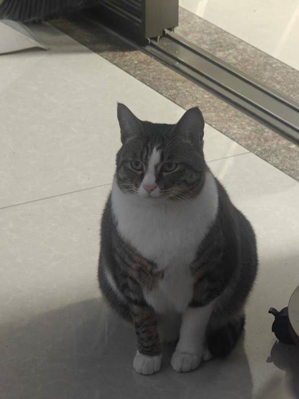 【稳定签到】六婆辣椒面蘸料2g*40袋