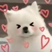 RIO锐澳预调鸡尾酒强爽8度330ml*8罐