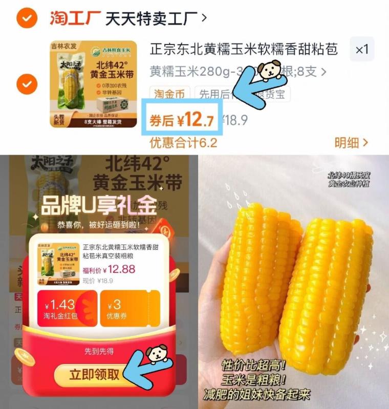 12.88亓农投正宗东北黄糯玉米280*8支