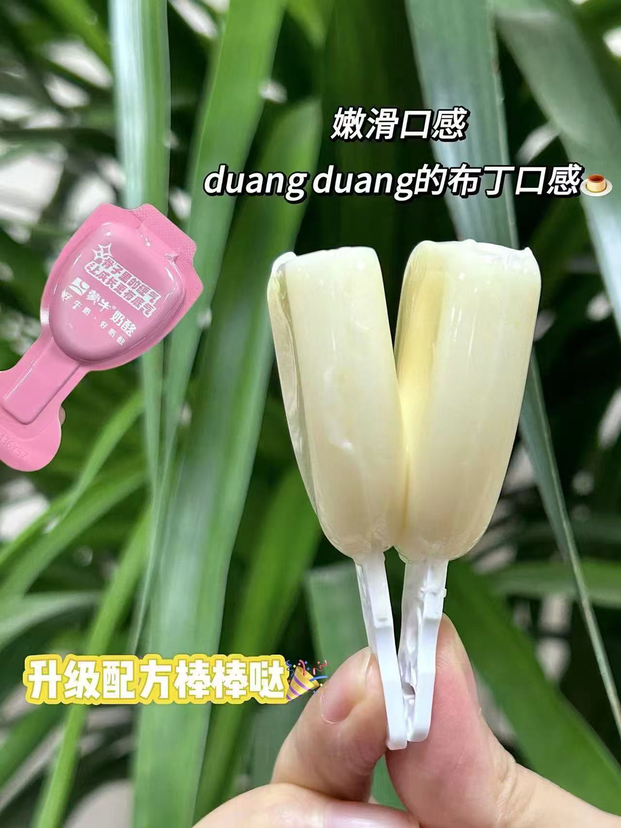 NBA联名蒙牛奶酪棒30支