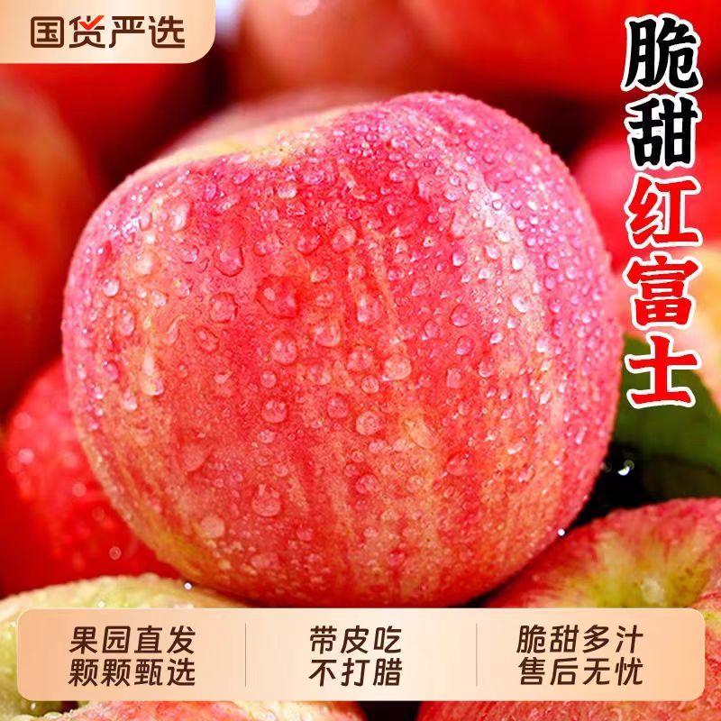 高山红富士苹果净重4.5斤