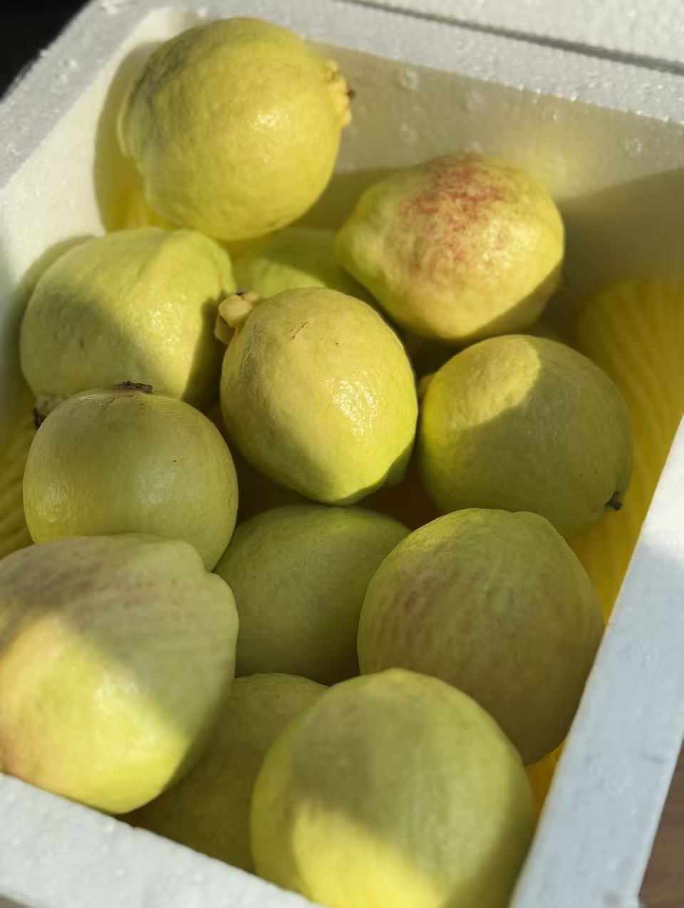 贤哥鹌鹑卤蛋独立装60枚