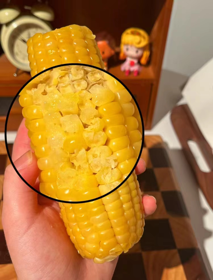冲销220g×8根！刘老杆东北黄糯玉米