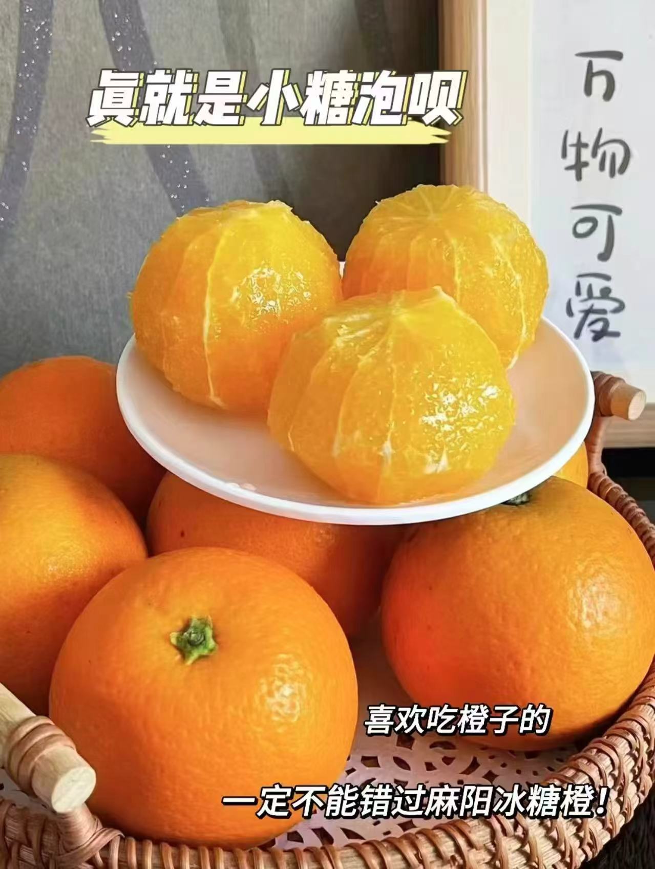 白要不然！筷手小厨海底捞火锅蘸料6袋