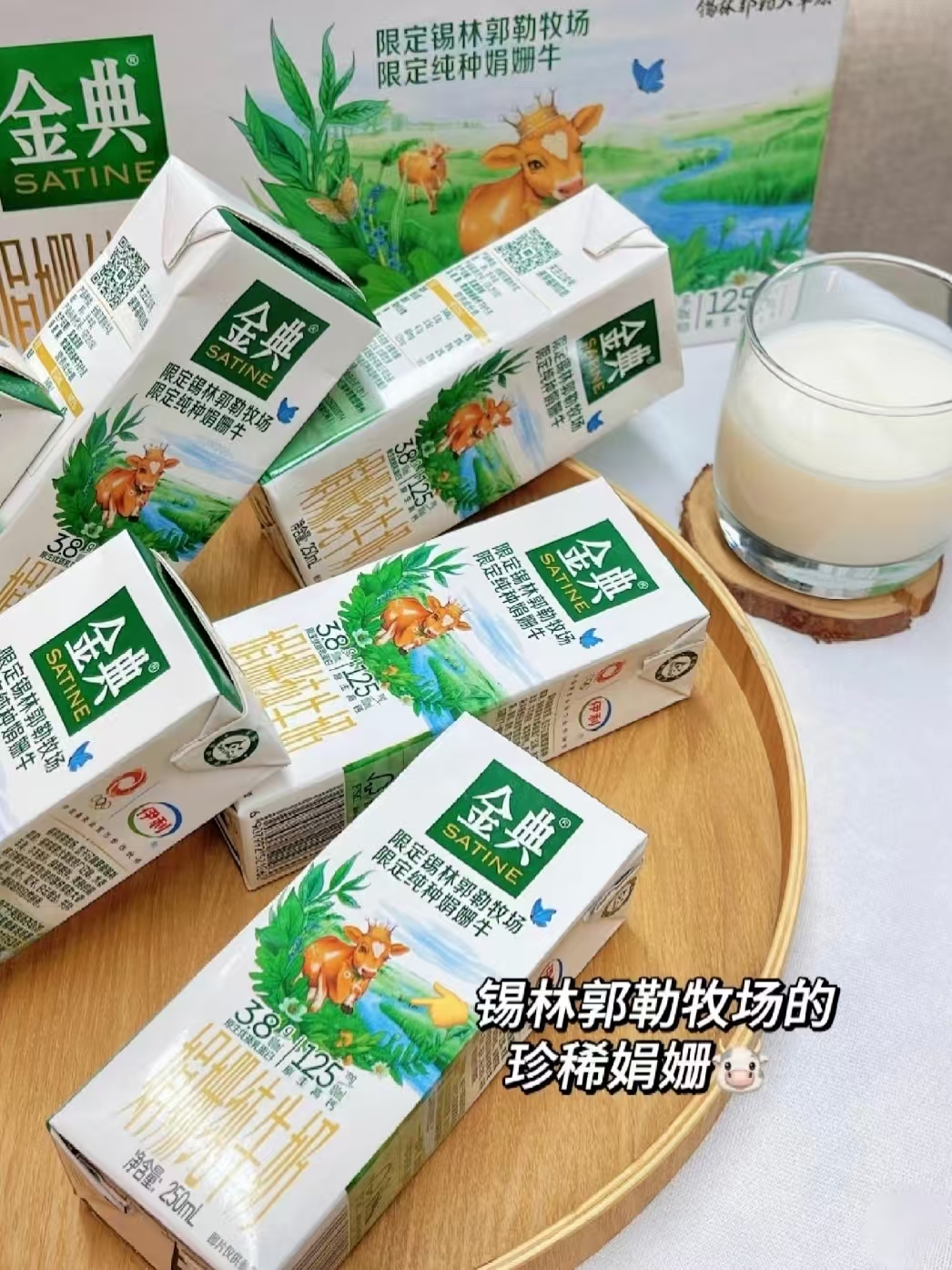 金典娟姗纯牛奶12盒装