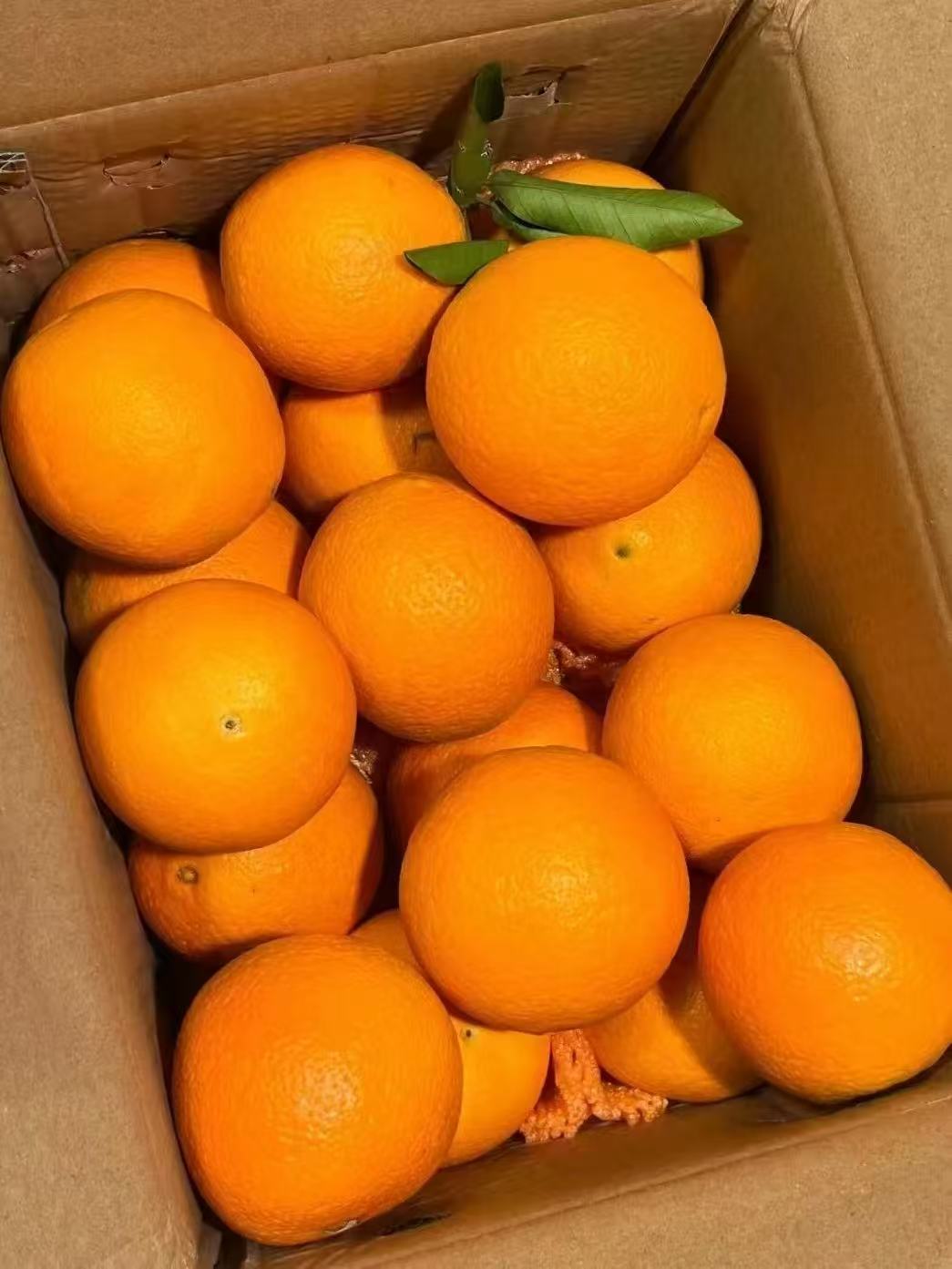 4.5斤装正宗橙子新鲜江西赣州脐橙