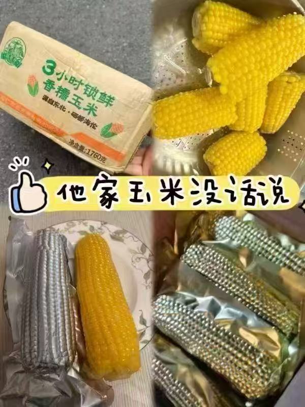 冲销220g×8根！刘老杆东北黄糯玉米