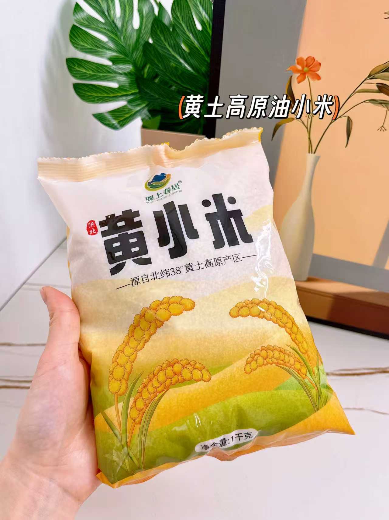 塬上春居！陕北黄小米1kg
