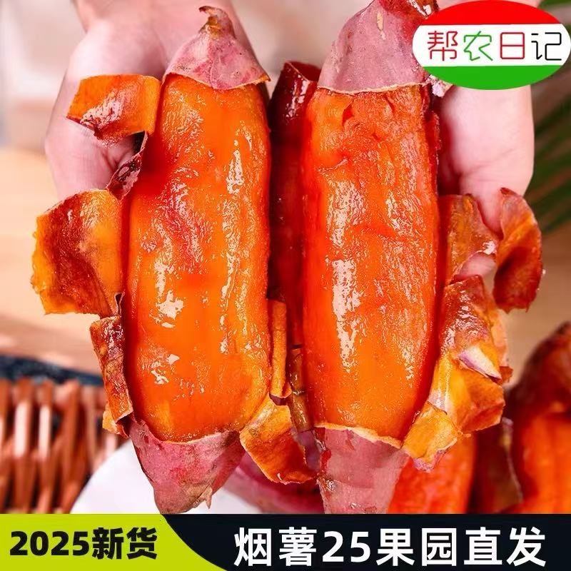 帮农日记！2025新货烟薯25号