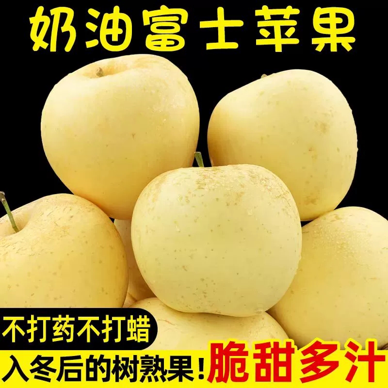 烟台正宗奶油富士霜降苹果 现摘现发产地直供